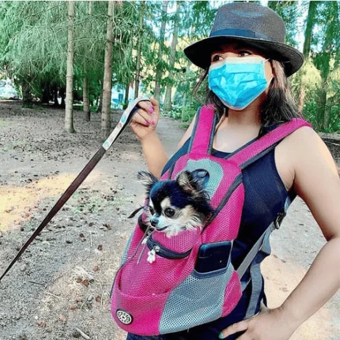 DogFri Backpack - Breathable Dog Carrier Bag