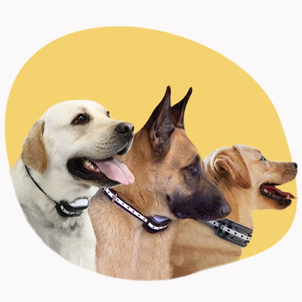 Electronic Wireless Fence for Dogs | Training Collar