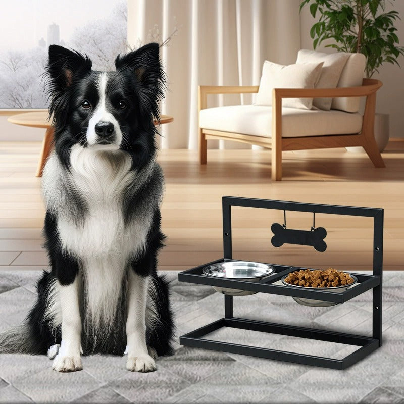 Elevated Dog Feeder with 2 Bowls