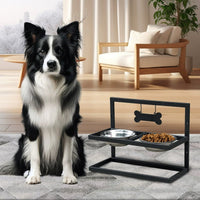 Elevated Dog Feeder with 2 Bowls