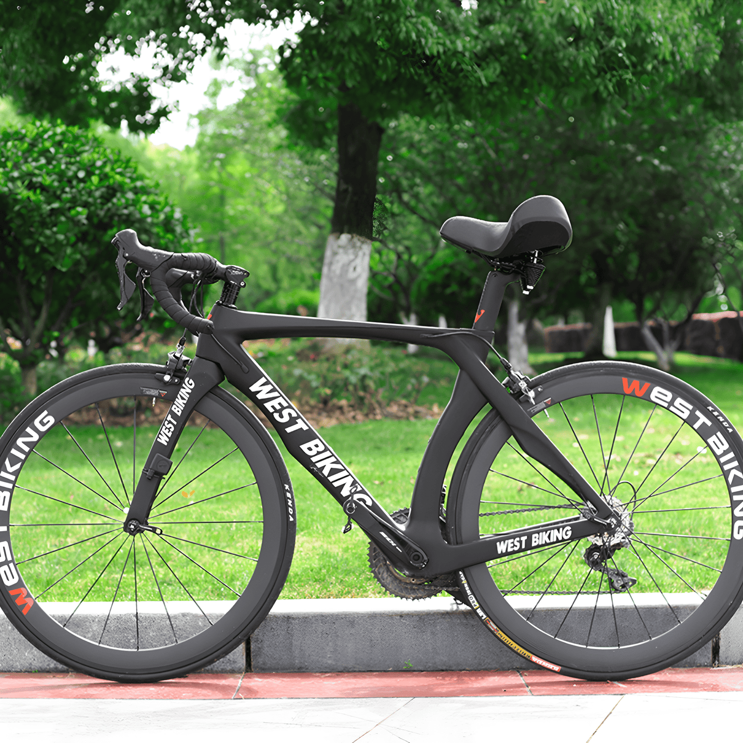 ErgoRide Throne Bike Saddle for Unmatched Comfort