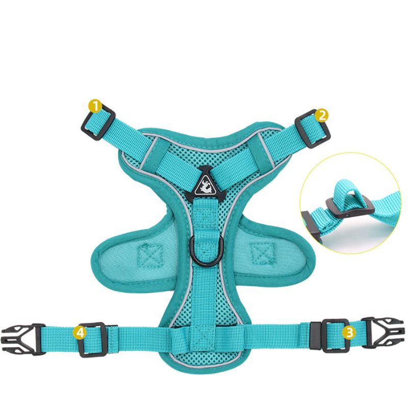 Escape-Proof Cat Harness