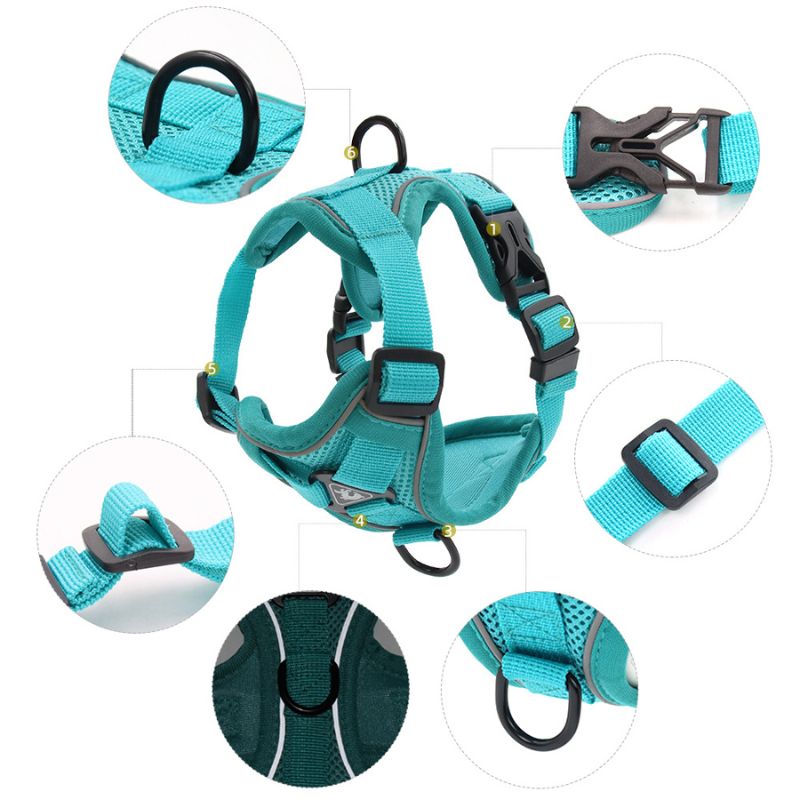 Escape-Proof Cat Harness