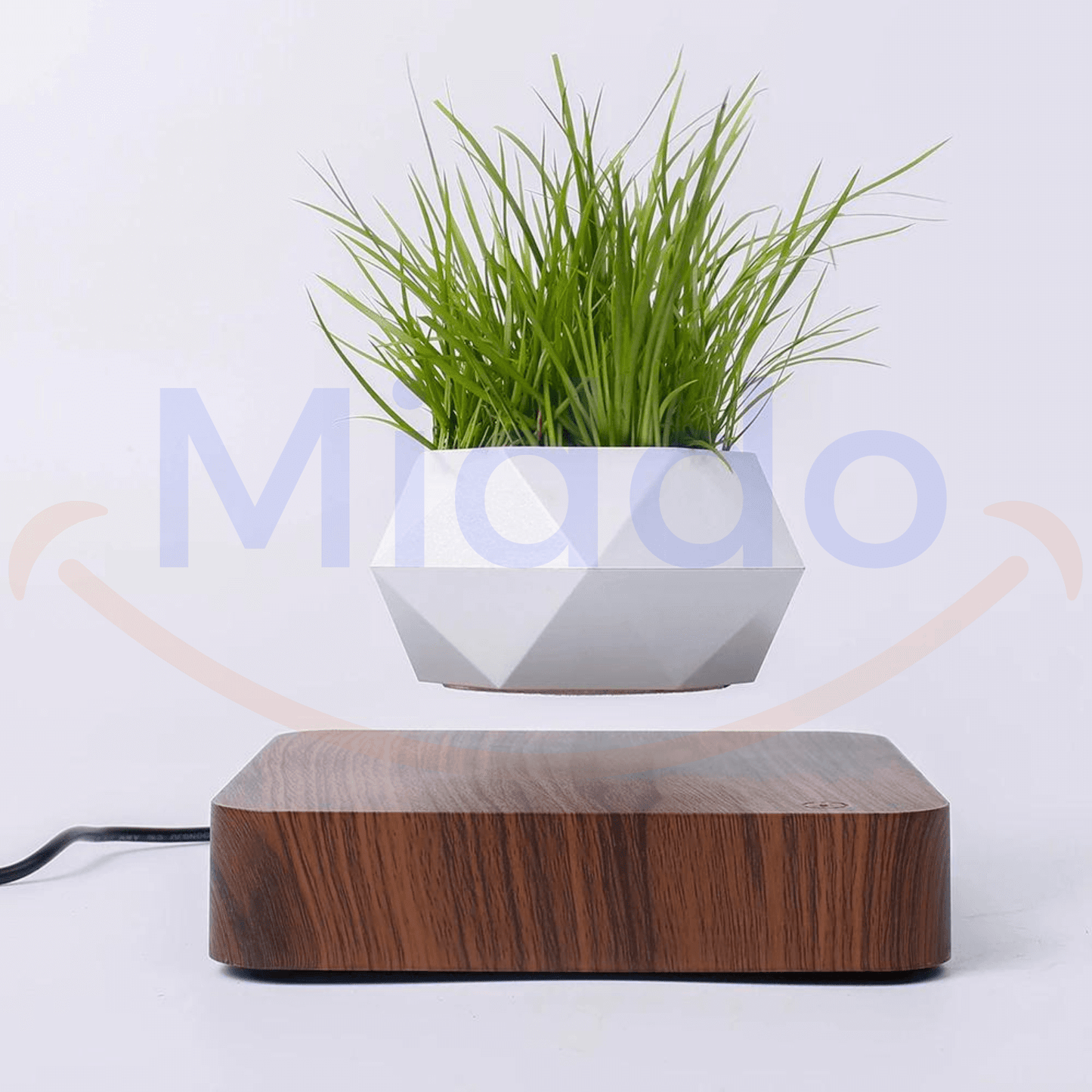 FloatPot | Magical Floating Plant Pot for Modern Home Decor