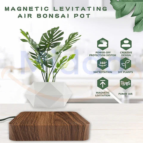 FloatPot | Magical Floating Plant Pot for Modern Home Decor
