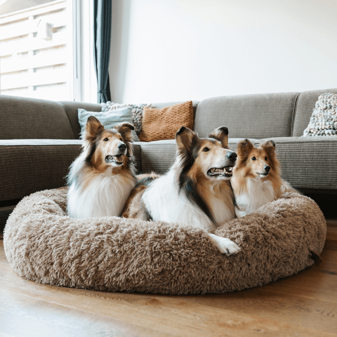 Fluffy Anxiety-Relieving Donut Dog Bed for All Dogs