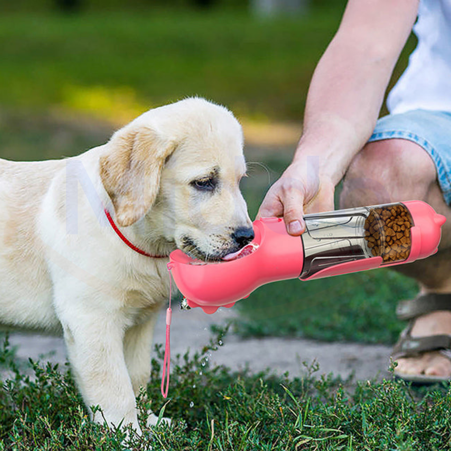Furry Feeder | The 5-in-1 Water Bottle for Your Dog!