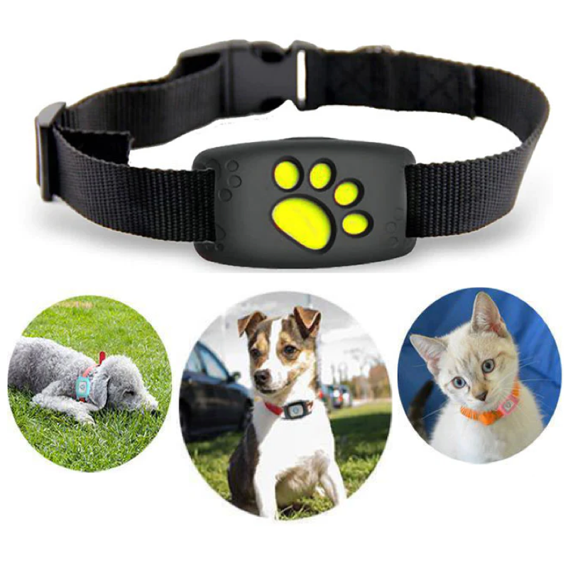 GPS Cat Collar with Real-Time Tracking & Safety