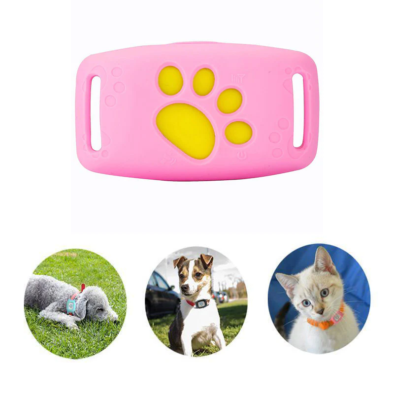 GPS Cat Collar with Real-Time Tracking & Safety