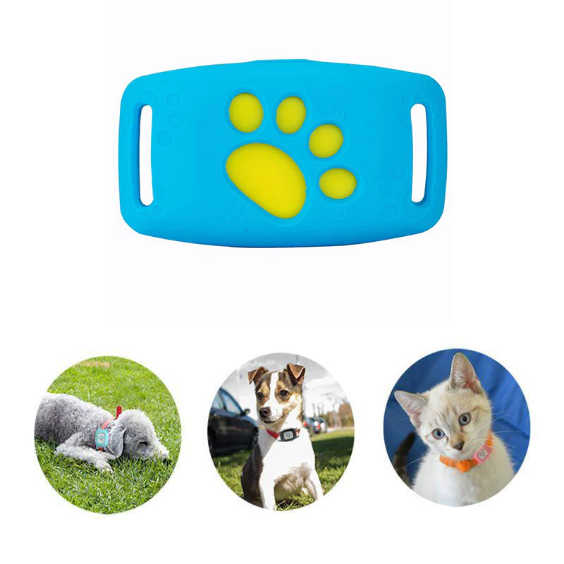 GPS Cat Collar with Real-Time Tracking & Safety