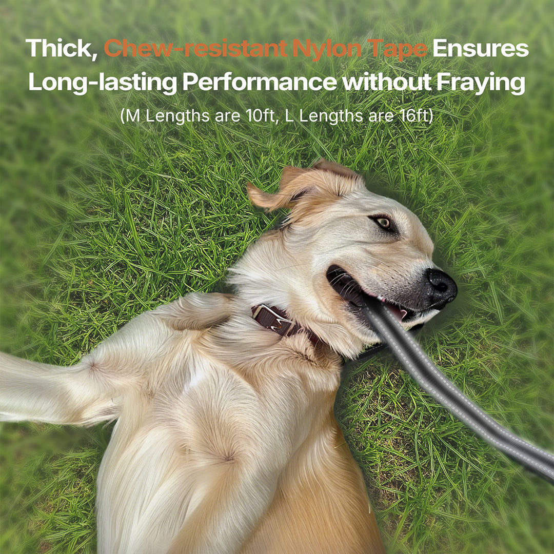Heavy-Duty Retractable Dog Leash for Strong Pullers