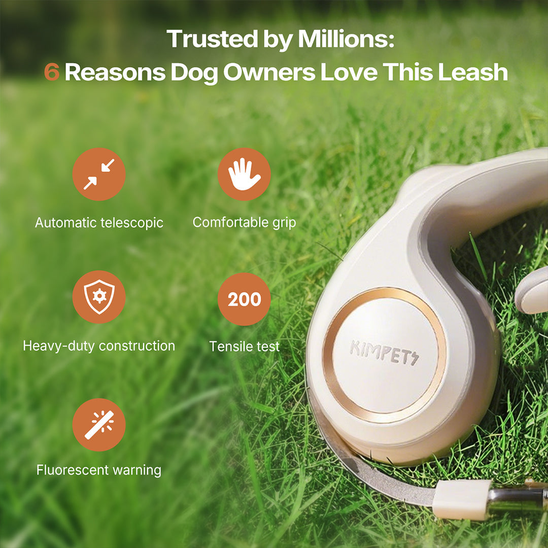 Heavy-Duty Retractable Dog Leash for Strong Pullers
