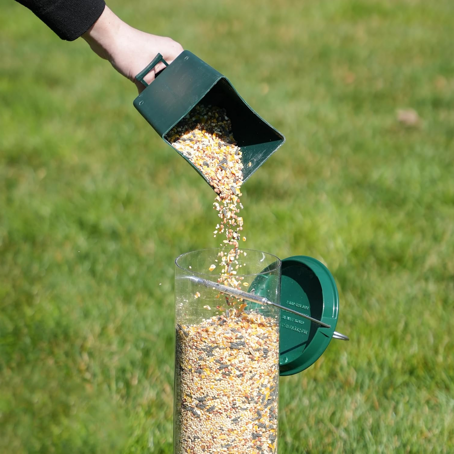 Heavy-Duty Squirrel-Proof Bird Feeder - Metal Design