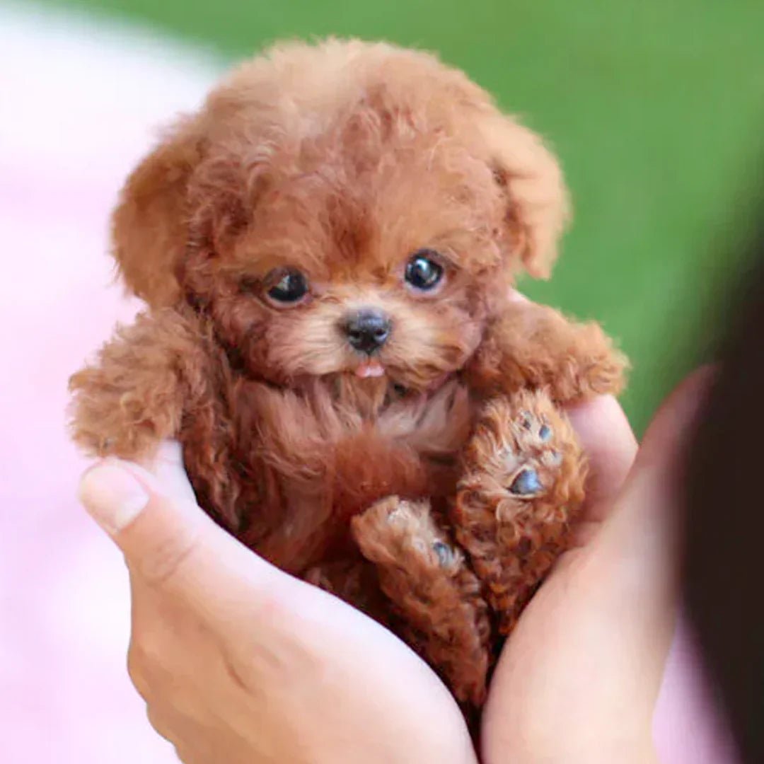 Hyper-Realistic Plush Puppy with Interactive Robot Design