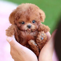 Hyper-Realistic Plush Puppy with Interactive Robot Design