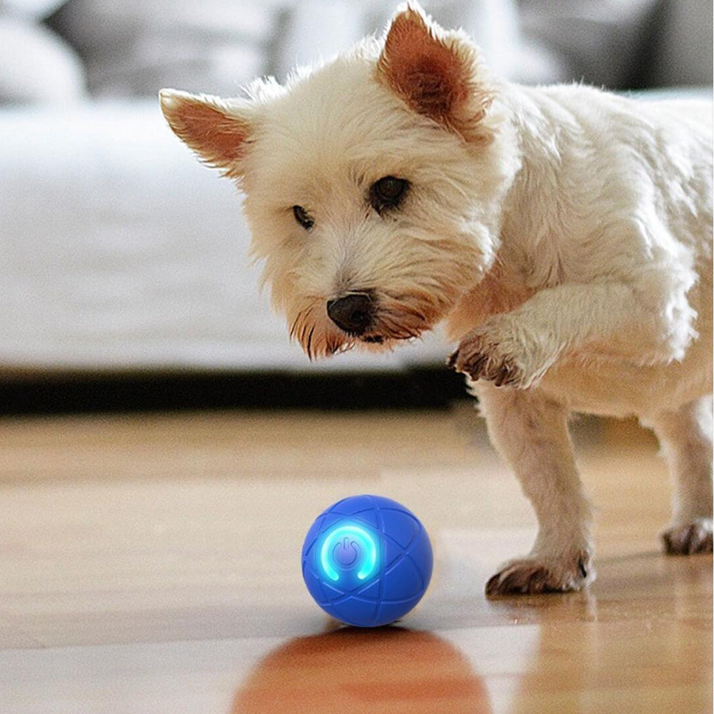 Interactive Automatic Ball for Dogs and Cats