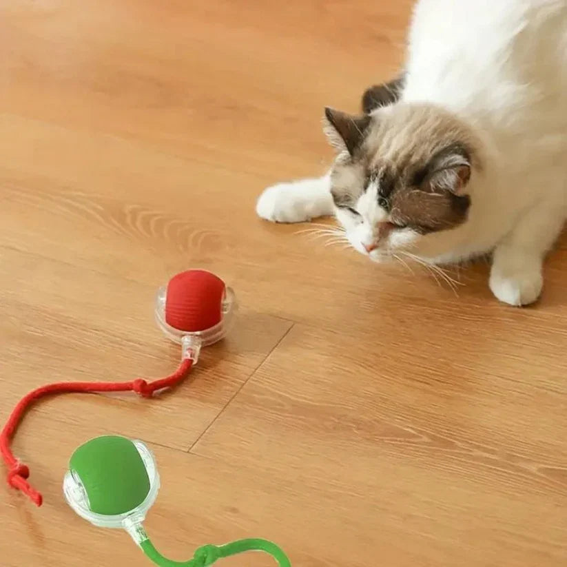 Interactive Play Ball with Tail for Cats