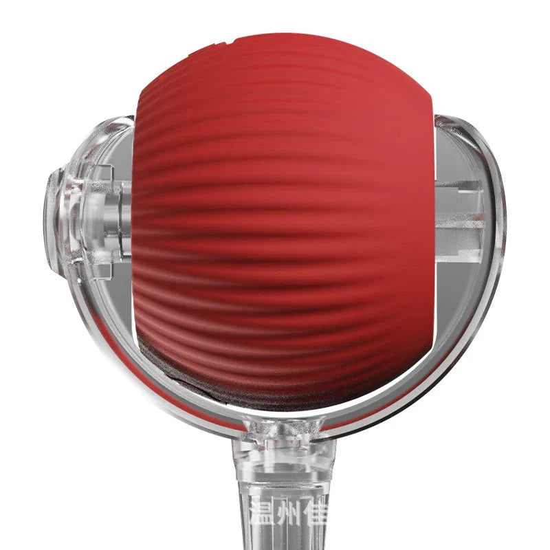 Interactive Play Ball with Tail for Cats