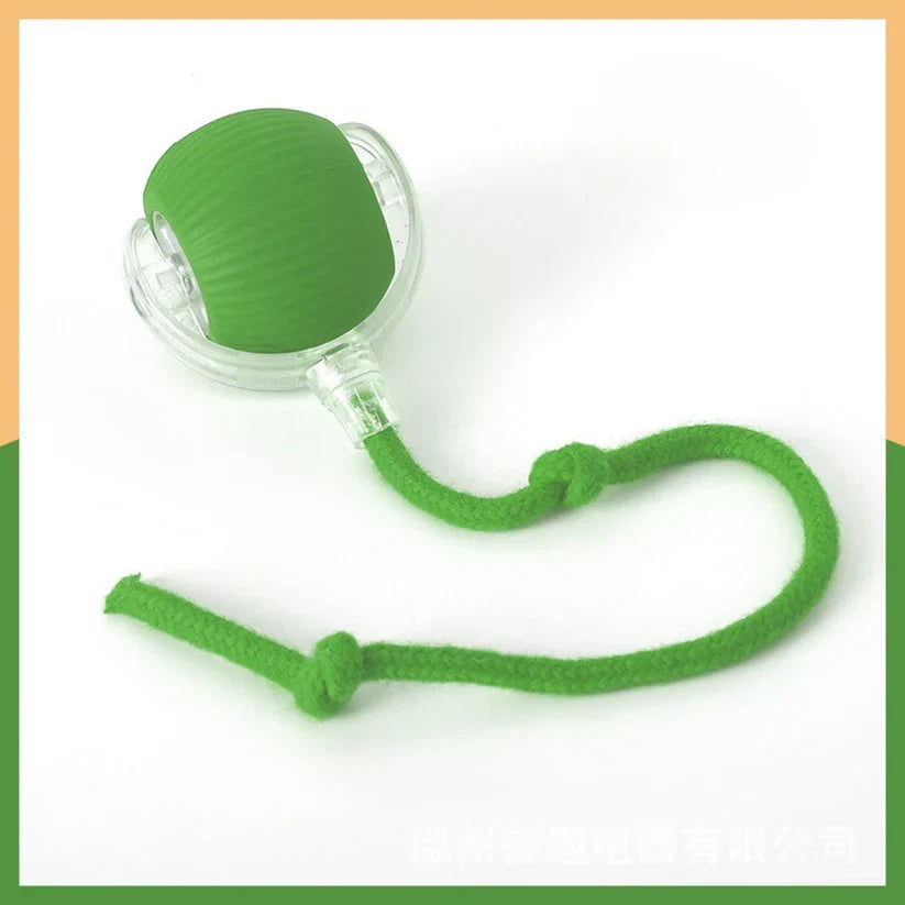 Interactive Play Ball with Tail for Cats