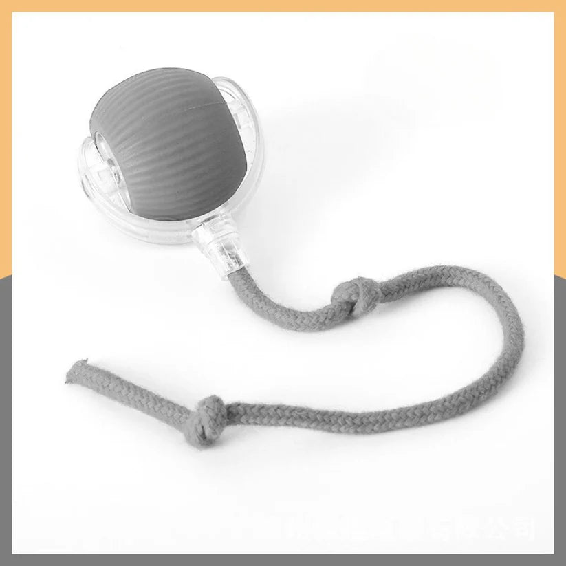 Interactive Play Ball with Tail for Cats