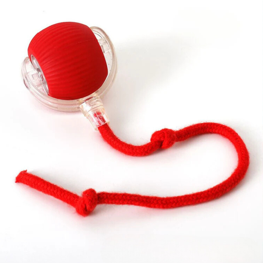 Interactive Play Ball with Tail for Dogs