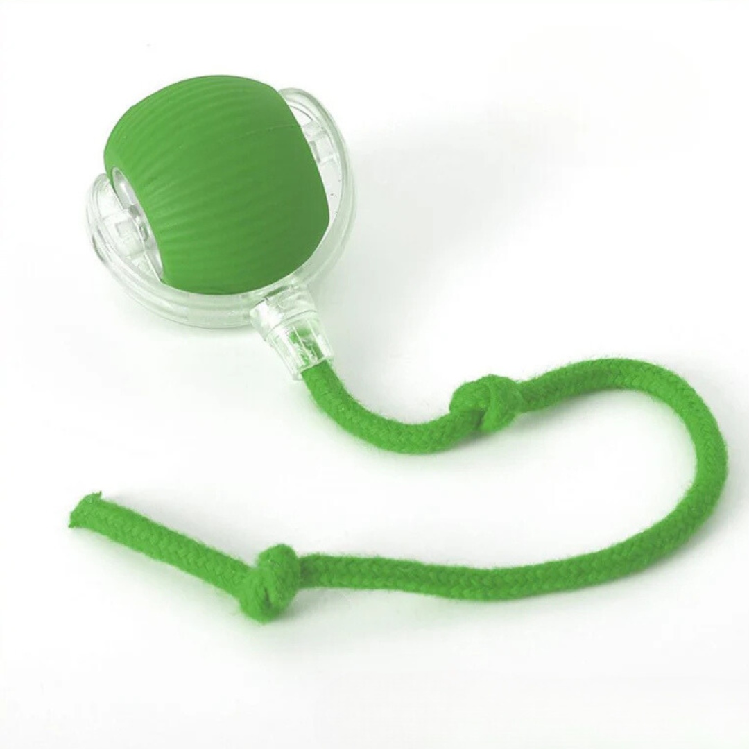 Interactive Play Ball with Tail for Dogs