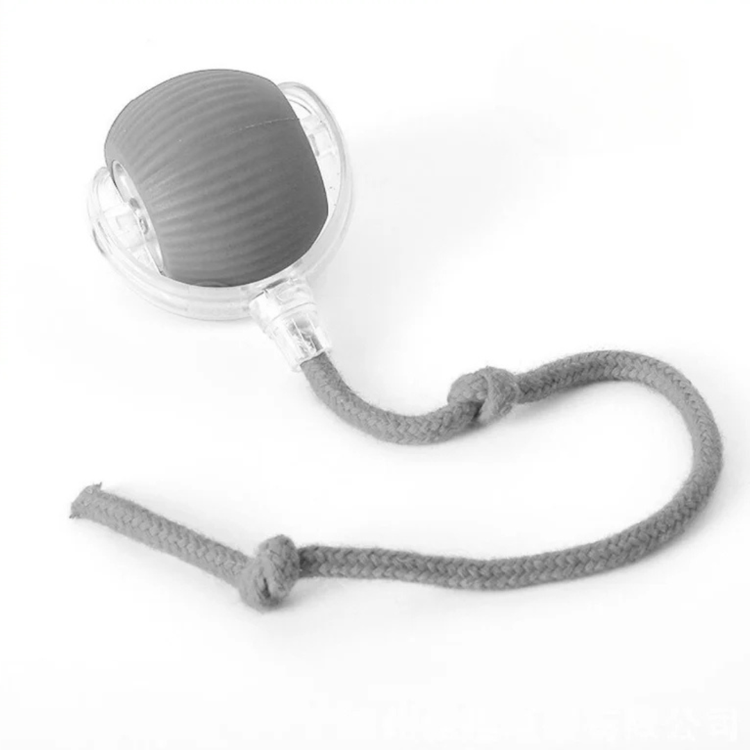 Interactive Play Ball with Tail for Dogs