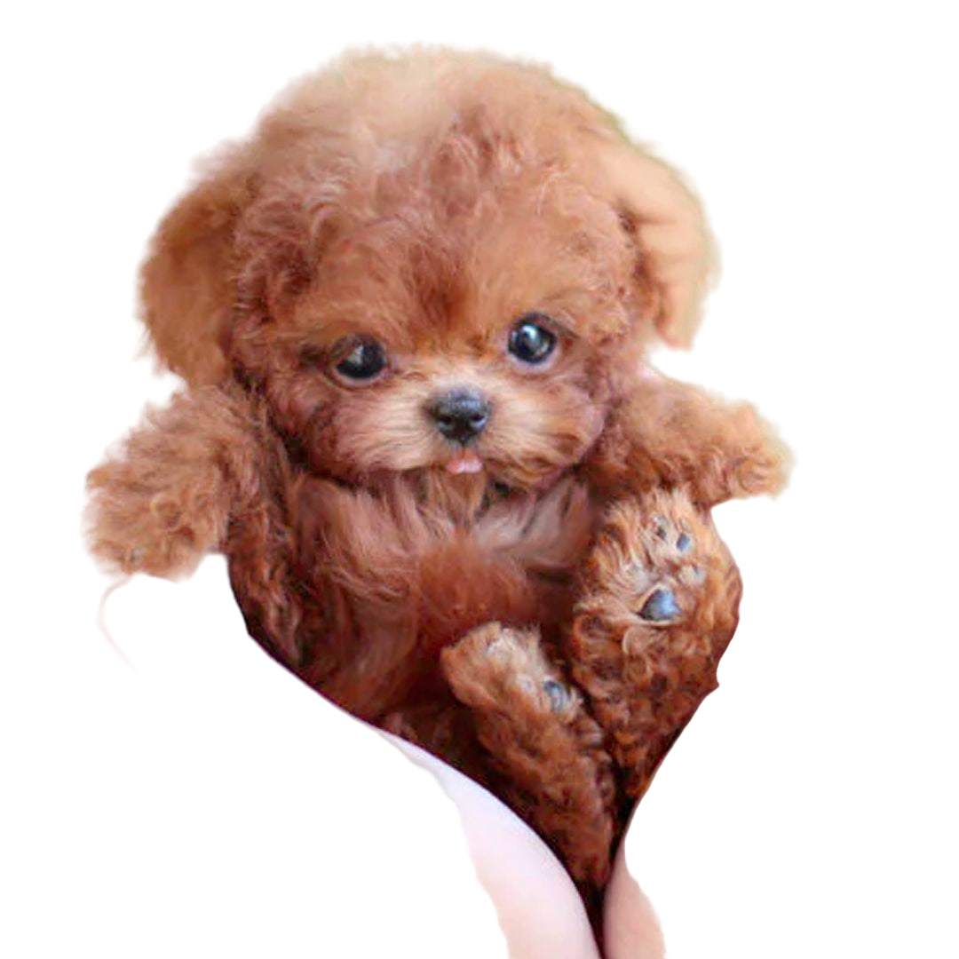 Interactive Plush Dog – Realistic Design with Movement Features – Ideal for Teaching Children Nurturing Skills