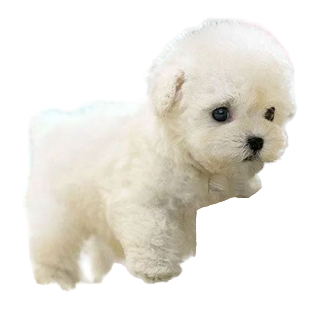 Interactive Plush Dog – Realistic Design with Movement Features – Ideal for Teaching Children Nurturing Skills