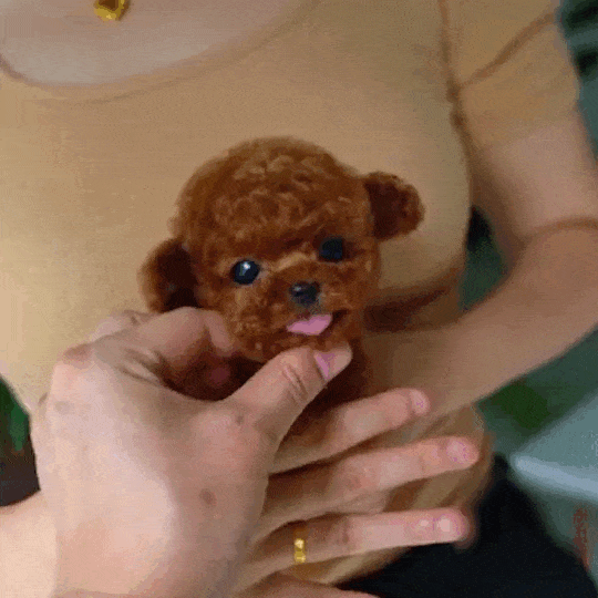Interactive Smart Puppy - Educational Toy