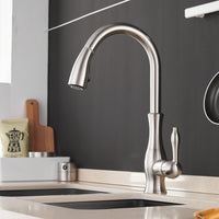 Kitchen Faucet - Retractable Pull-Out - Stylish Mixer Tap - High Arc