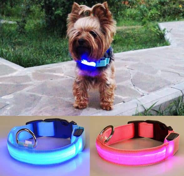 LED Light-Up Dog Collar