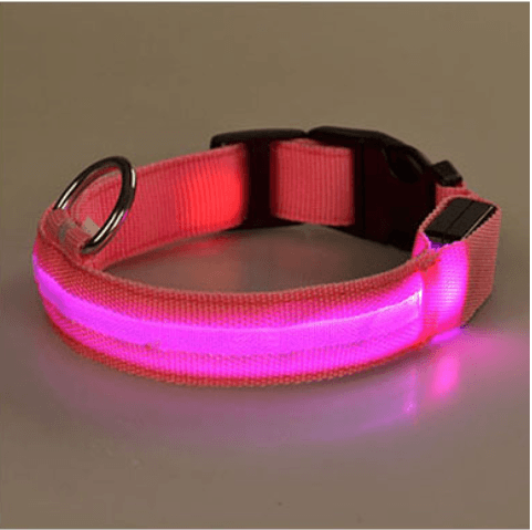 LED Light-Up Dog Collar