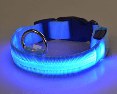 LED Light-Up Dog Collar