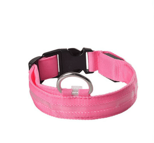 LED Light-Up Dog Collar