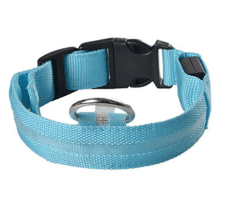 LED Light-Up Dog Collar