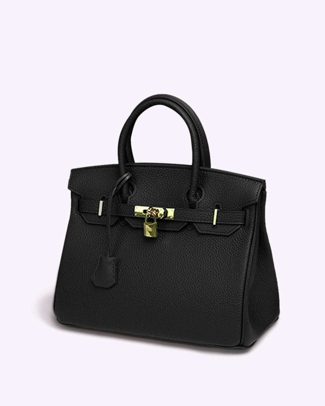 Liana Women's Stylish Handbag