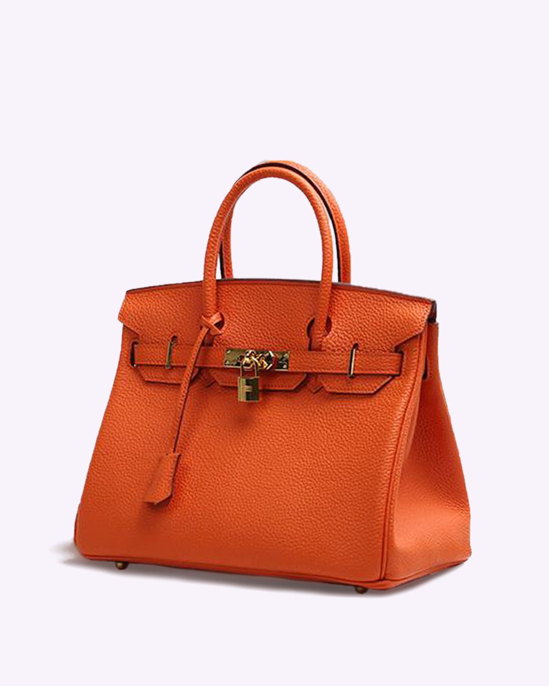 Liana Women's Stylish Handbag