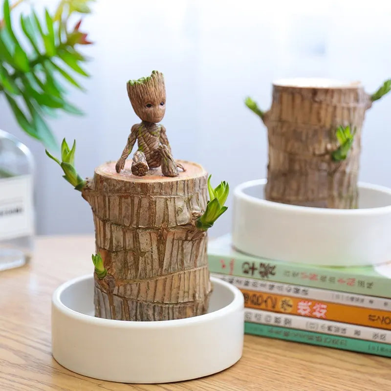 Lucky Wood Terrarium: Air Purifier & Symbol of Good Luck