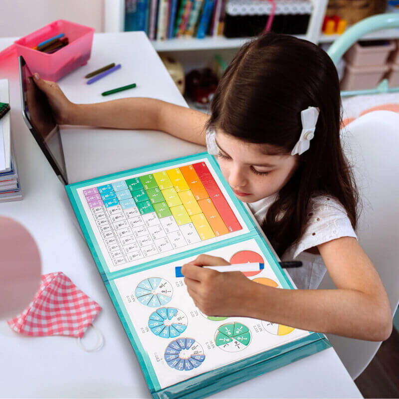 Magnetic Fraction Disc Demonstrator