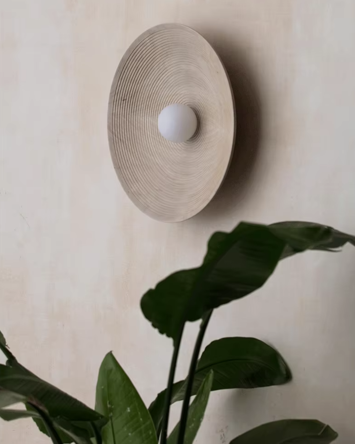 Minimalist Round Wall Lamp - Organic Wood - Modern Lighting - Image 2