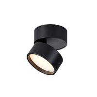 Modern Aluminium LED Ceiling Light - Adjustable Accent Lighting