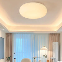 Modern Oval Ceiling Light - Minimalist LED Flush Mount Fixture - Stylish Iron & PE Design