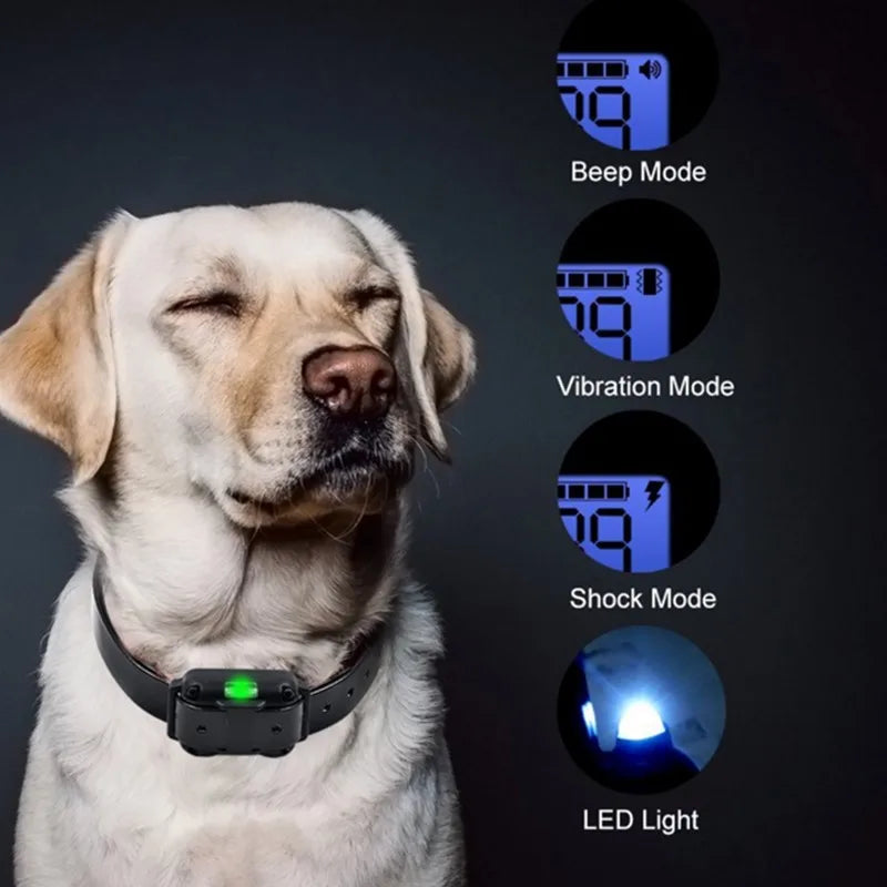 Norvo E-Collar for Dog Training – Safe, Effective, Waterproof