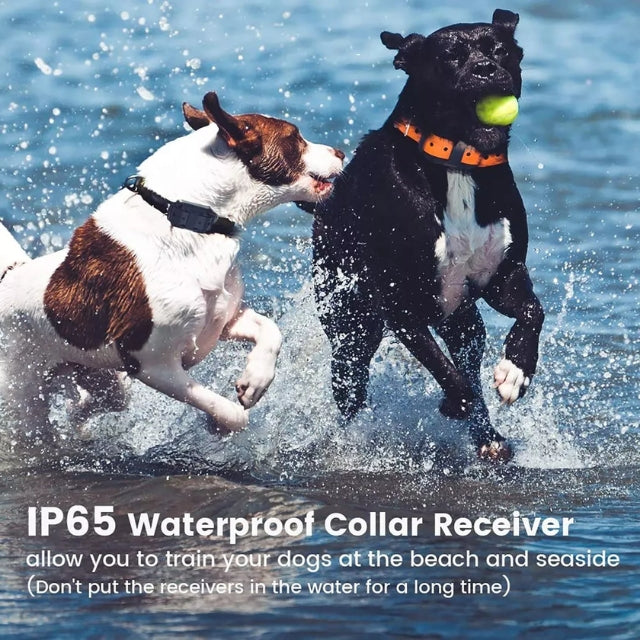 Norvo E-Collar for Dog Training – Safe, Effective, Waterproof