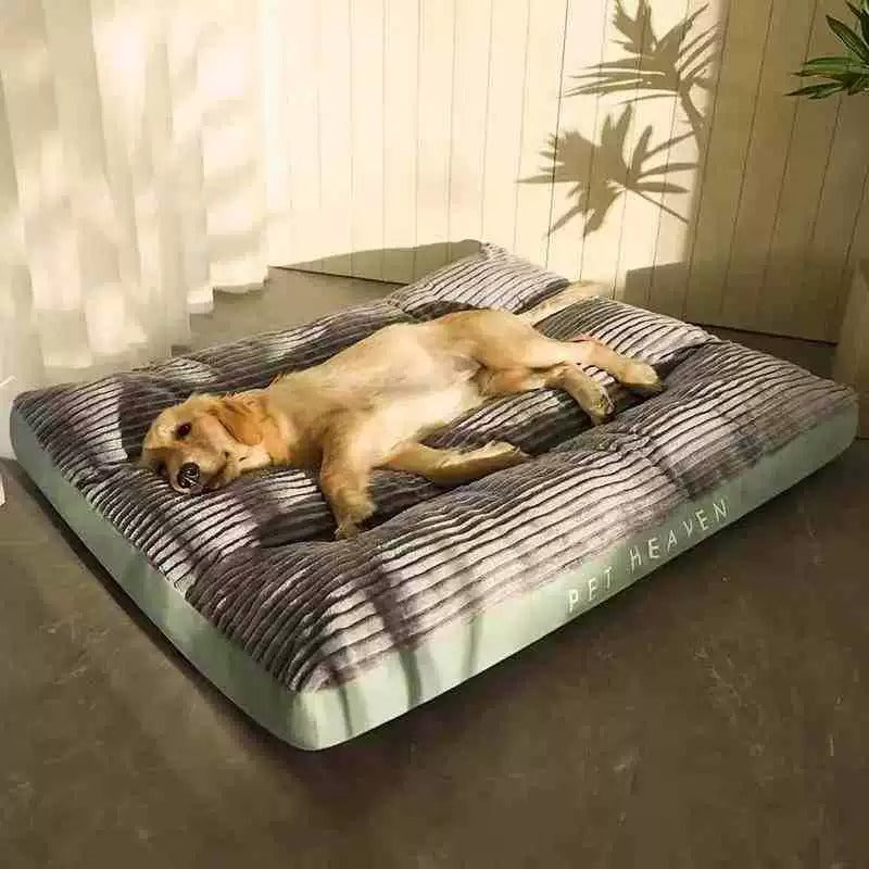Orthopedic Dog Bed – Cozy & Supportive