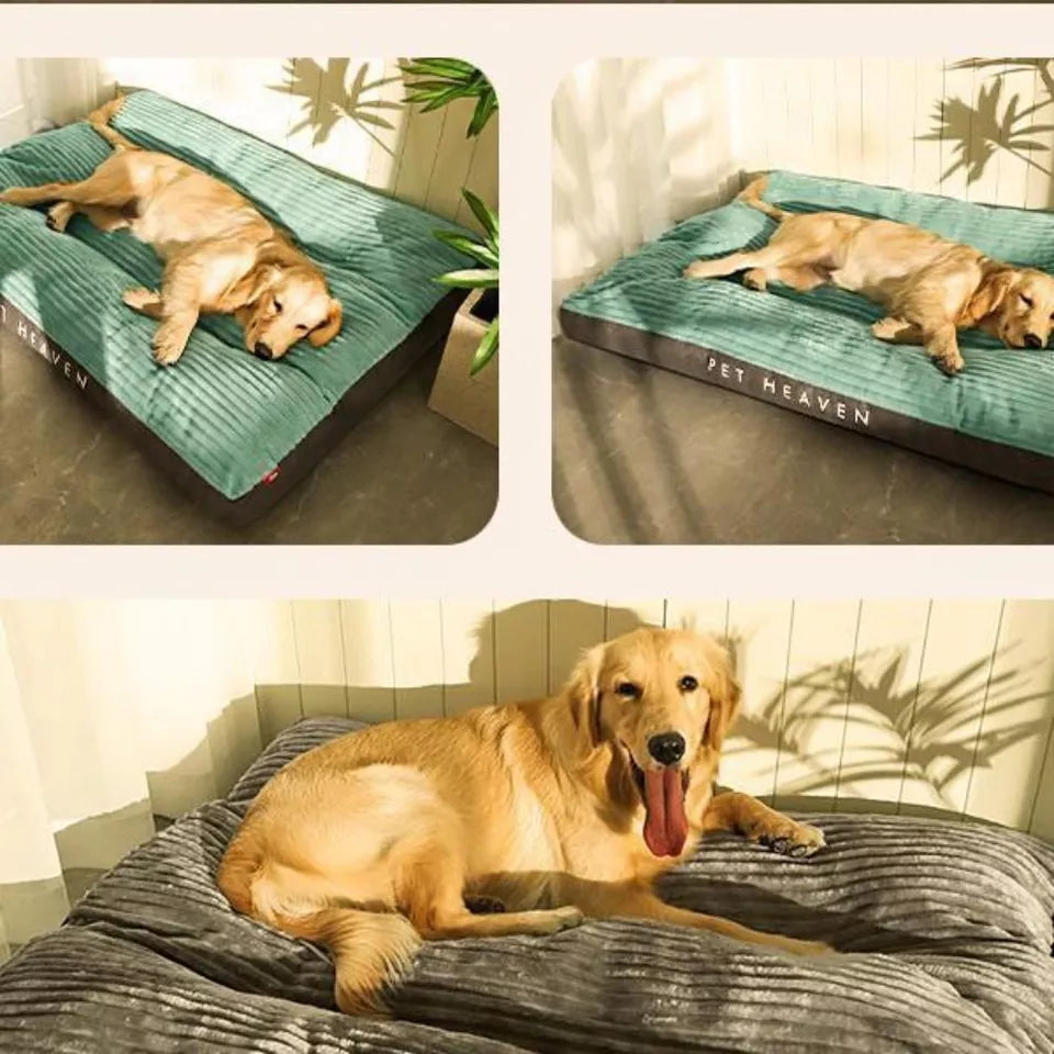 Orthopedic Dog Bed – Cozy & Supportive