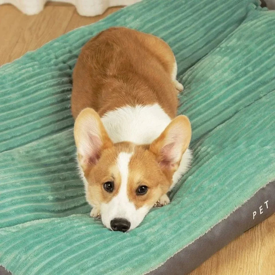 Orthopedic Dog Bed – Cozy & Supportive