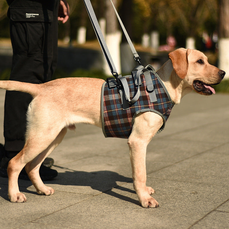 Orthopedic Hind Leg Harness