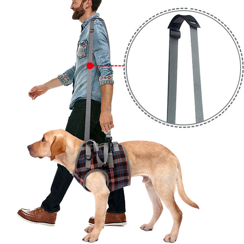 Orthopedic Hind Leg Harness